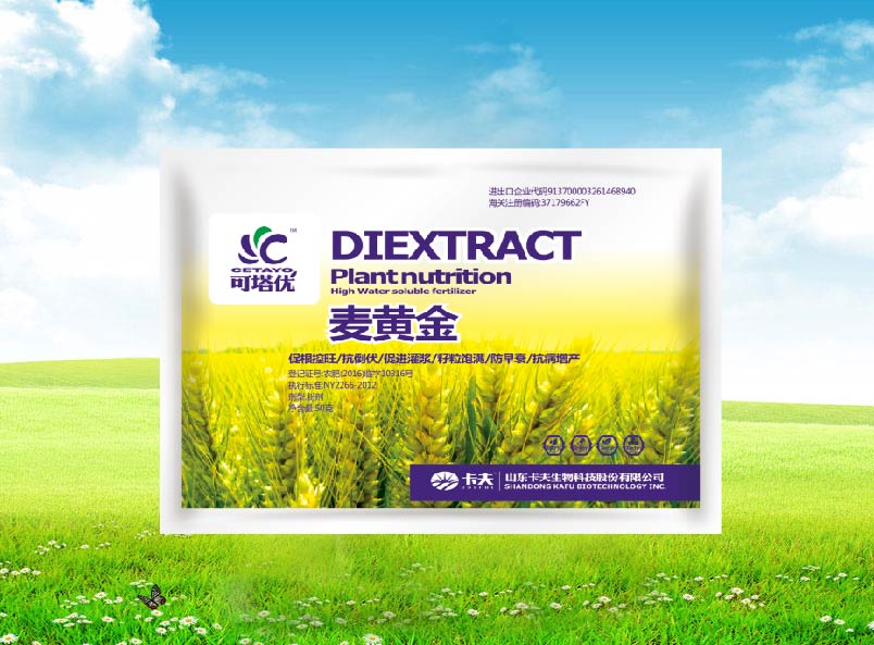 可塔优麦黄金